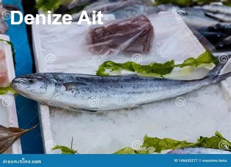 Parıltıkanat, Işık Kanadı, Deniz Işığı resmi lambuga