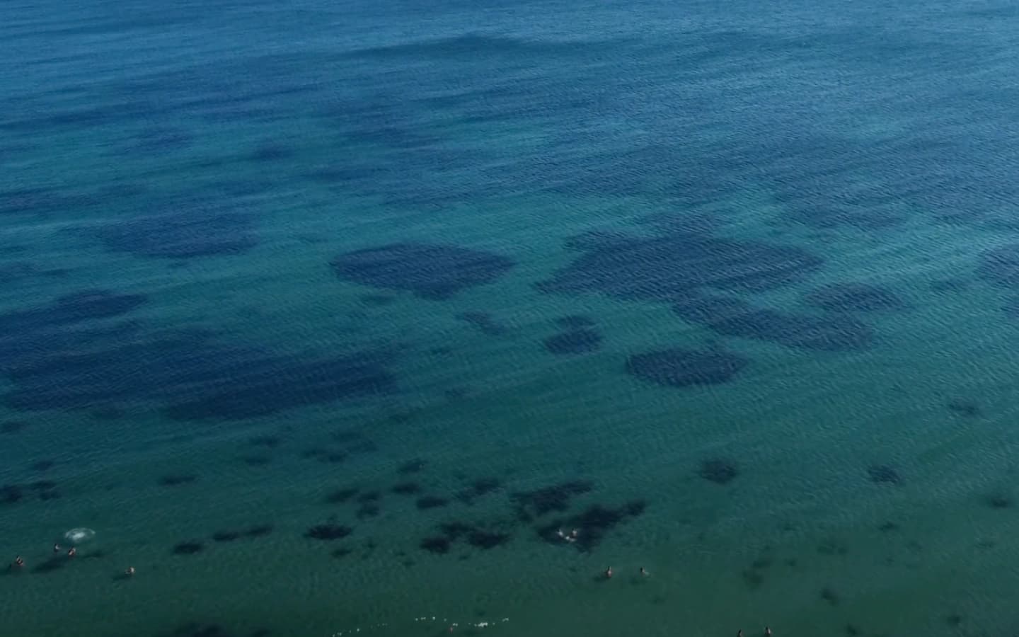 dallas plajı, tekirdağ marmara eğrelisi dallas
