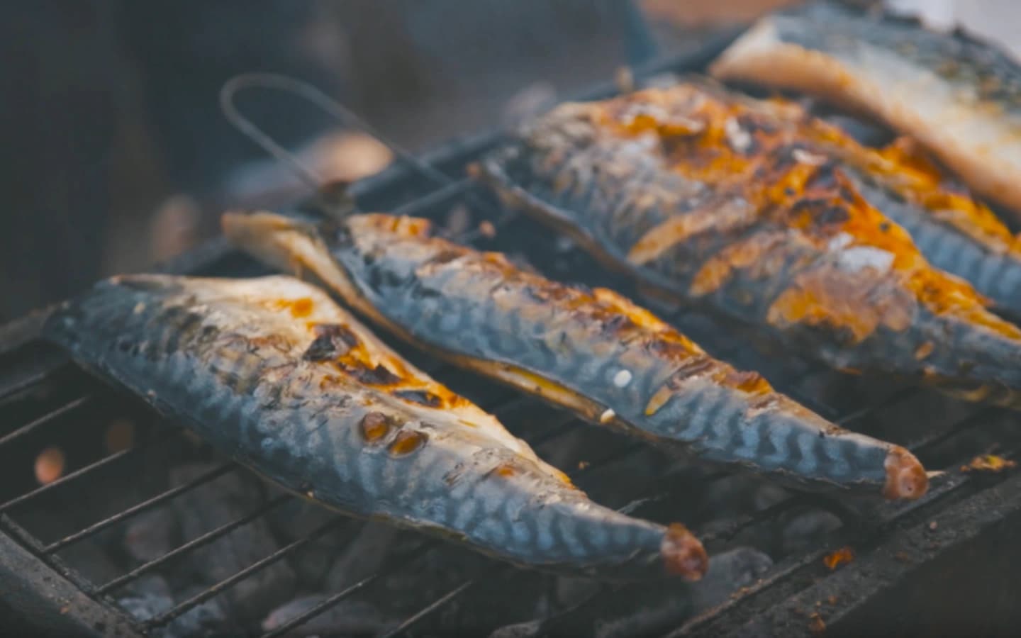 Pişmiş balık dolapta kaç gün saklanır